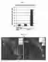 Fig. 09 - Method for producing adenohypophysis or precursor tissue thereof