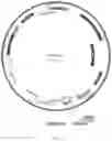 Fig. 03 - METHOD FOR ENABLING NONMICROCYSTIN-PRODUCING MICROALGAE TO PRODUCE MICROCYSTIN AND MICROCYSTIN-PRODUCING MICROALGAE OBTAINED