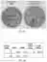 Fig. 09 - Construction and methods of use of a barcoded and gene edited DNA library
