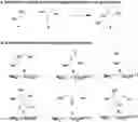 Fig. 01 - PROPERTY MODULATION WITH CHEMICAL TRANSFORMATIONS