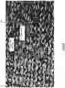 Fig. 14 - RIGID AND SEMI-RIGID COMPOSITES INCORPORATING WOVEN MULTI-LAYER FABRICS