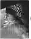 Fig. 16 - RIGID AND SEMI-RIGID COMPOSITES INCORPORATING WOVEN MULTI-LAYER FABRICS