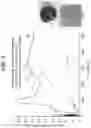 Fig. 07 - TRANSPARENT SOUND ABSORBING PANELS