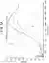 Fig. 08 - TRANSPARENT SOUND ABSORBING PANELS