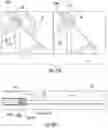 Fig. 40 - Rigid panel containment system and related methods