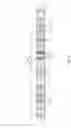 Fig. 03 - Window shade and spring drive system thereof