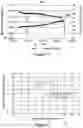 Fig. 02 - Well injection program including an evaluation of sandface plugging