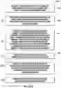 Fig. 16 - Monolithic combustor bodies