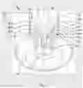 Fig. 03 - Supersonic ejector with annular chamber