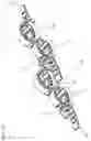 Fig. 08 - Line organizer