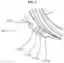 Fig. 04 - Pipe fitting having anti-loosening structure