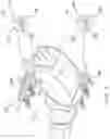 Fig. 03 - Clamp for repair of pipe couplings