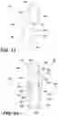 Fig. 11 - Collapsible pattern