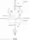 Fig. 03 - Illumination device including laser light source, molded body with obtusely inclined side surfaces, and phosphor layer