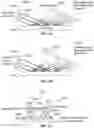 Fig. 08 - Dynamic illumination using a coherent light source