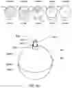 Fig. 03 - Methods of producing clear ice shapes using suction, and apparatuses for performing same