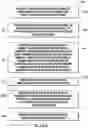 Fig. 09 - Monolithic heat-exchanger bodies