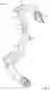 Fig. 02 - Dual stage compound bow