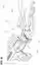 Fig. 43 - Crossbow