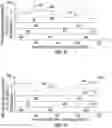 Fig. 09 - Determining operational health of a pump
