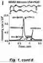 Fig. 07 - BIOMARKER FOR SENESCENT CELLS