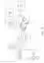 Fig. 03 - Database syncing