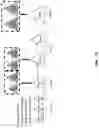 Fig. 13 - Indexing for evolving large-scale datasets in multi-master hybrid transactional and analytical processing systems