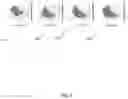 Fig. 05 - Training more secure neural networks by using local linearity regularization