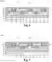 Fig. 08 - Field plate structure for high voltage device