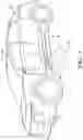 Fig. 04 - Continuous safety light