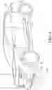 Fig. 05 - Continuous safety light