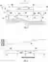 Fig. 05 - Method for controlling the height of a harvesting implement relative to the ground and related height control systems