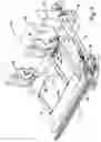 Fig. 04 - Flexible header with sectional height adjustment