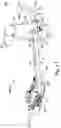 Fig. 32 - Flexible header with sectional height adjustment