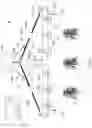 Fig. 10 - Plant light raising and lowering apparatus
