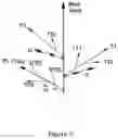 Fig. 06 - Multi-ear system to enhance monocot plant yield