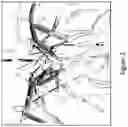 Fig. 03 - Multi-ear system to enhance monocot plant yield