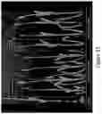 Fig. 15 - Multi-ear system to enhance monocot plant yield