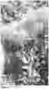Fig. 06 - Lettuce variety ‘payday’