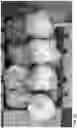 Fig. 31 - Lettuce variety ‘payday’