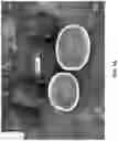 Fig. 02 - Watermelon variety ‘Red Amber’
