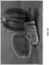 Fig. 03 - Watermelon variety ‘Red Amber’
