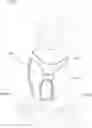 Fig. 01 - UTILITY HYDRATION PET VEST