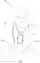 Fig. 02 - UTILITY HYDRATION PET VEST