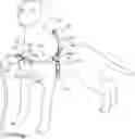 Fig. 01 - Animal restraint systems with cinching mechanisms and associated devices and methods