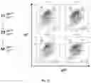 Fig. 56 - Animal Models and Therapeutic Molecules
