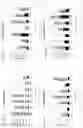 Fig. 57 - Animal Models and Therapeutic Molecules