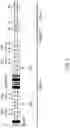 Fig. 03 - GENETICALLY MODIFIED MAJOR HISTOCOMPATIBILITY COMPLEX ANIMALS