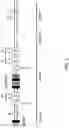 Fig. 04 - GENETICALLY MODIFIED MAJOR HISTOCOMPATIBILITY COMPLEX ANIMALS