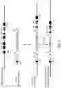 Fig. 06 - GENETICALLY MODIFIED MAJOR HISTOCOMPATIBILITY COMPLEX ANIMALS